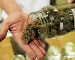U Srbiji moguća legalizacija marihuane u medicini