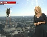 Meteorologinja se izbezumila kada se u emisiji uživo pojavila džinovska pčela