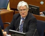 Karadžić: Optužbe su aluzije i ćakulanja, Tužilaštvu svaka vuče batinu