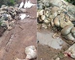 Pogažen vjerski propis: Ostaci kurbana na sred puta u sarajevskom naselju