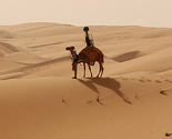 Google pokrenuo Desert View, uz pomoć kamila snima pustinje