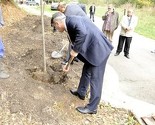 Ambasadori Srbije i Pakistana zasadili lipe u Aleji ambasadora