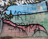 Uvredljivi grafiti ispod tribine stadiona Slavije