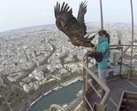 Fenomenalan pogled na Pariz iz perspektive orla