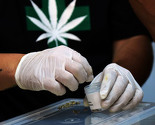 Kraj zabrane: Oregon legalizovao rekreativno korištenje marihuane