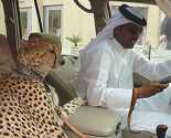 Stvari koje možete vidjeti samo u Dubaiju