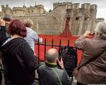 Krvavi makovi londonskog tornja simboliziraju prolaznost ljudskog života