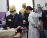 Dogs Trust nastavlja besplatnu obuku veterinara za sterilizaciju pasa