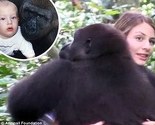 Dirljivi susret Britanke i gorile nakon 12 godina: Čuvala me u naručju kad sam bila beba