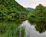 Ilijaško jezero Starača poribljeno kalifornijskom pastrmkom