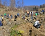 Volonteri zasadili 2.000 sadnica na klizištu u Željeznom Polju