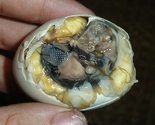 U ovim mjestima insekti, zmije, pacovi, embrioni životinja i testisi su najtraženija jela