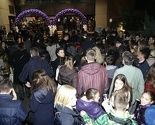 Ogroman interes za koncert Zdravka Čolića: Publika svih generacija u Zetri