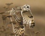 National Geographic objavio najbolje fotografije za 2014. godinu