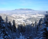 Agić o nesreći na Romaniji: Žena je preminula jer RS nije željela tražiti pomoć iz Sarajeva