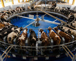 Farma Spreča u budućnosti planira investicije vrijedne 120 miliona KM