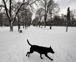 Hladnoća u Bugarskoj uzela tri života, 320 ljudi spašeno