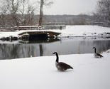 Kanada na udaru ledene fronte: Temperature i do minus 48 stepeni
