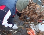 Pravoslavna tradicija: Badnjak kao simbol ljubavi i sloge