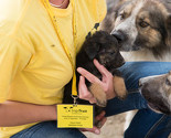 Dogs Trust u 2015. planira sterilizaciju 10.000 pasa u KS