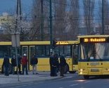 Putnik vozača GRAS-a gađao komadom betonske žardinjere