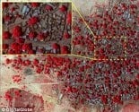 Satelitski snimci pokazuju horor nakon masakra koji je izvršio Boko Haram u Nigeriji