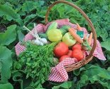 Zdravo.ba od sada u svakom gradu Bosne i Hercegovine