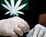 Jamajka na korak od legalizacije marihuane