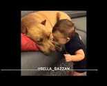 To mora da je ljubav: Beba, pit bull i poljupci
