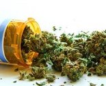 U septembru legalizacija marihuane u Hrvatskoj