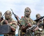 Boko Haram ubio skoro 70 civila u Kamerunu