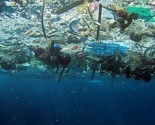 Strašna statistika: 12,7 miliona metričkih tona plastike godišnje bacimo u okeane