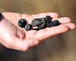 Istraživanje "crnog zlata" velika priča BiH i Hrvatske: Nafta u Hercegovini postoji?