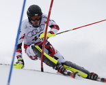 Austrijanci najuspješniji na SP-u u skijanju, osvojili devet medalja