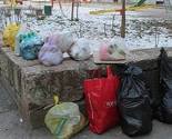 Građani Sarajeva smeće iz domaćinstava odlažu u parkovske kante i na zelene površine