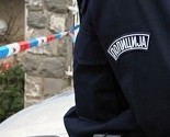 Srbija: Uhapšen muškarac koji je mačetom ubio mladića