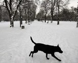 SAD: Oluja i arktičke hladnoće otkazale na hiljade letova, škole zatvorene