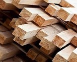 U BiH povećana proizvodnja šumskog asortimana za 7,78 posto
