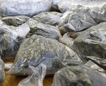 Mladi u BiH sve više koriste "legalne droge": Ljepila, sedative i nargile