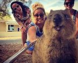 Selfie sa kuokom, najsretnijom životinjom na svijetu, hit u Australiji