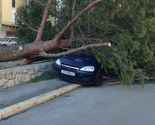 Besana noć u Dalmaciji: Nevrijeme rušilo stabla, električne stubove...