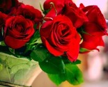 Dame, sretan vam 8. mart!