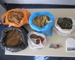 U Doboju zaplijenjen kilogram marihuane i sjemenke indijske konoplje