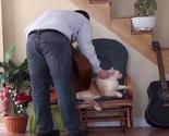 Otjerao mačku sa stolice, pogledajte kako mu se osvetila
