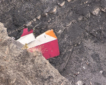 Bračni par porijeklom iz BiH poginuo u padu aviona Germanwingsa