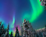 U potrazi za polarnom svjetlošću: Magična aurora borealis kroz objektiv hrvatske fotografkinje