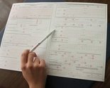 Sporna metodologija: Cjelokupan popis stanovništva doveden u pitanje