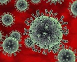 Novootkriveni virus mutira vlastite gene kako bi bolje iskoristio domaćina