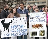 Poruka s protesta Av-Mau: Agresivne pse skloniti, a miroljubive ostaviti da žive na ulici