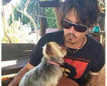 Johnny Depp doveo pse bez dozvole u Australiju, vlasti prijete da će ih uspavati
